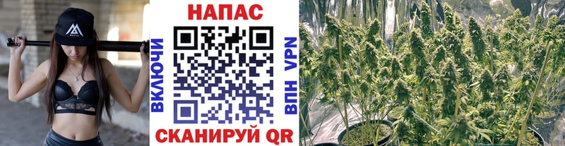 Наркошоп купить МДМА  Каннабис  Меф  ГАШ  Аша