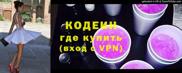 прущие грибы Кулебаки
