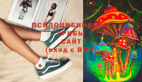 прущие грибы Кулебаки