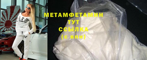 прущие грибы Кулебаки