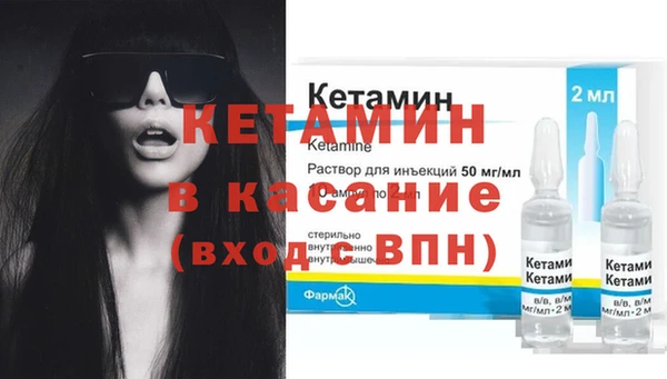 прущие грибы Кулебаки