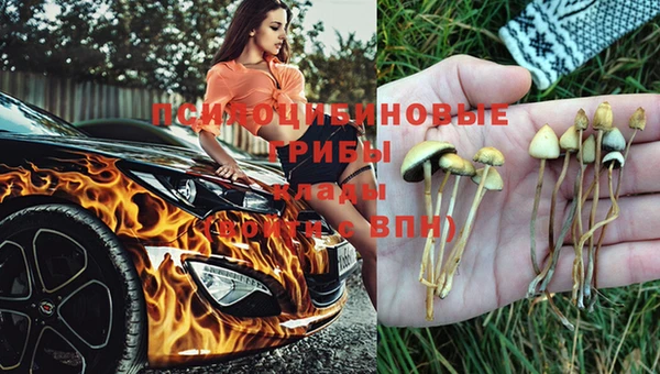 дистиллят марихуана Кукмор