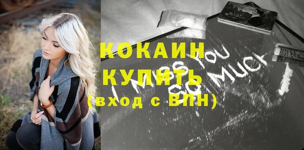 прущие грибы Кулебаки