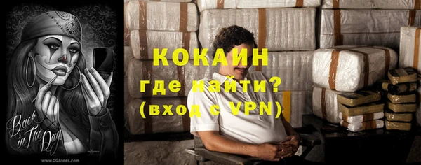 прущие грибы Кулебаки
