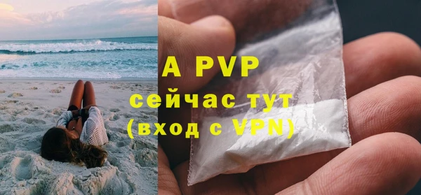 прущие грибы Кулебаки