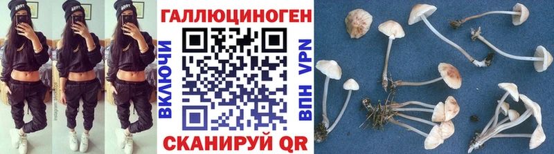 Галлюциногенные грибы Magic Shrooms  Купить где  Аша 